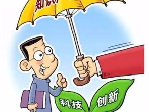 图 天津红桥区商贸科技公司怎么办理赠版增量 天津会计审计